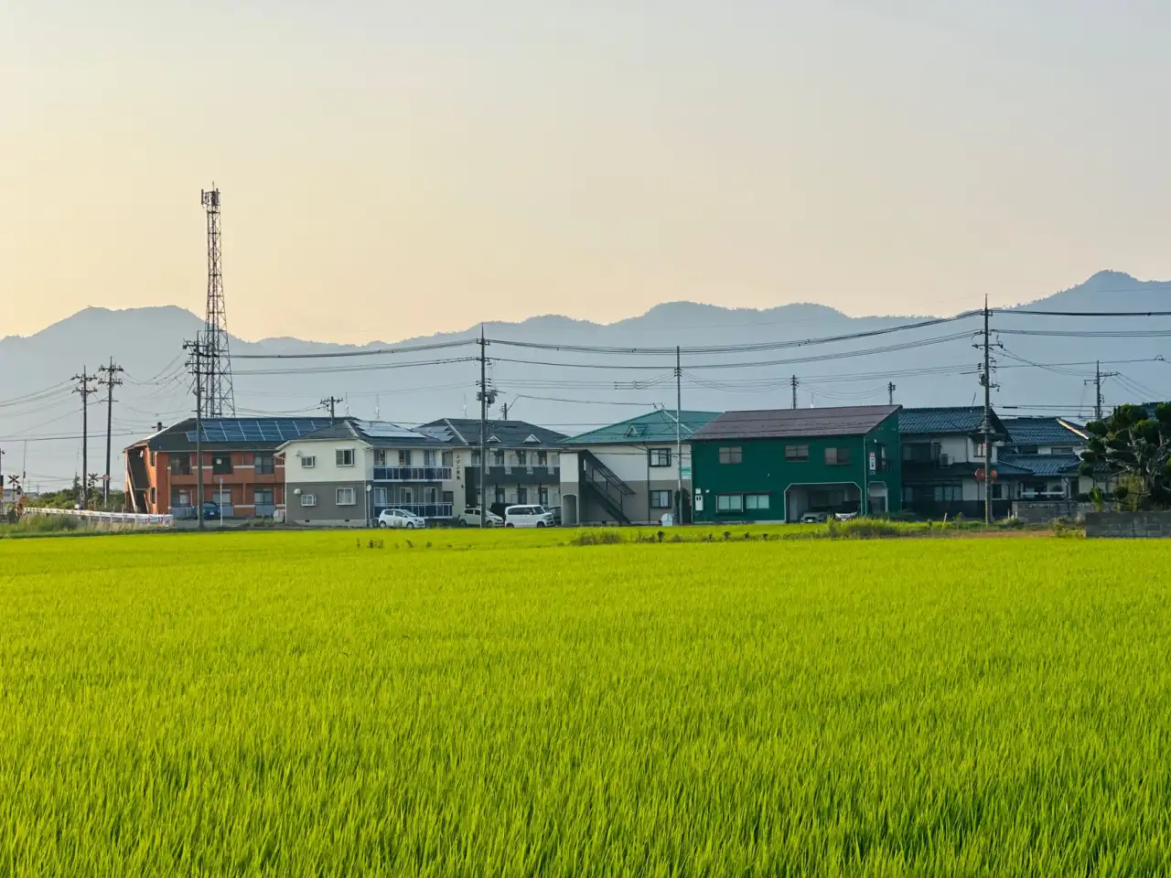 江苏光伏组件生产技术升级趋势:光电科技如何推动新能源制造效率提升正文配图 2